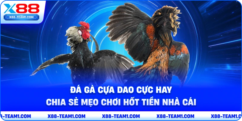 da-ga-cua-dao-cuc-hay-chia-se-meo-choi-hot-tien-nha-cai